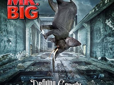 Reunion dei Mr. Big: in arrivo  a fine gennaio il nuovo album &apos;What if…&apos;