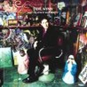 Steve Wynn - WHAT I DID WHEN AFTER MY BAND BROKE UP