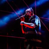 2 luglio 2022 &ndash; Parco Caserme Rosse - Bonsai Garden - Bologna &ndash; Gu&egrave; Pequeno in concerto