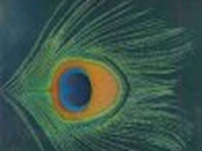XTC, una valanga di rarità in un cofanetto di 9 cd
