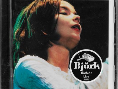 Bjork, problemi alle corde vocali: cancellate le ultime due date del tour