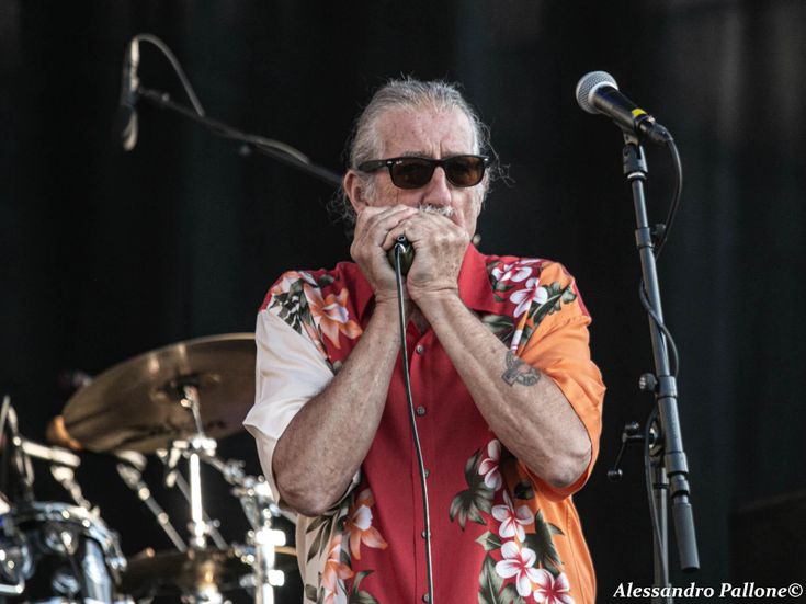 Fabio Treves festeggia 30 anni di carriera con &apos;BluesFriends&apos;