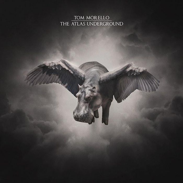 https://images.rockol.it/mOgyM_tZv27RNz-OFui3Atc39X0=/700x0/smart/rockol-img/img/foto/upload/tom-morello-album-art.jpg
