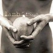 Lamb - BETWEEN DARKNESS AND WONDER