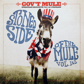 Gov&#039;t Mule - STONED SIDE OF THE MULE