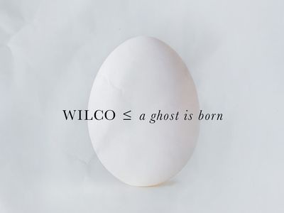 A GHOST IS BORN (EXPANDED EDITION) Wilco