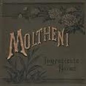 Moltheni - INGREDIENTE NOVUS