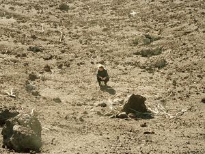 Ben Howard, il 21 ottobre esce il nuovo album 'I forget where we were'