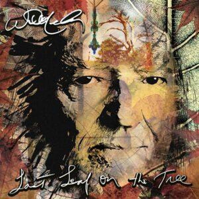 https://images.rockol.it/n0Bz4J8w7quNFoozmJ8GufuN0Fw=/700x0/smart/rockol-img/img/foto/upload/willie-nelson-last-leaf-on-the-tree-cover-300x300.jpg
