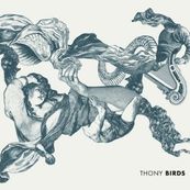 Thony - BIRDS