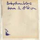 Babyshambles - DOWN IN ALBION