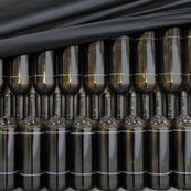 Wire - RED BARKED TREE