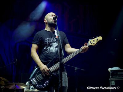 Concerti, Millencolin: due date in Italia a settembre