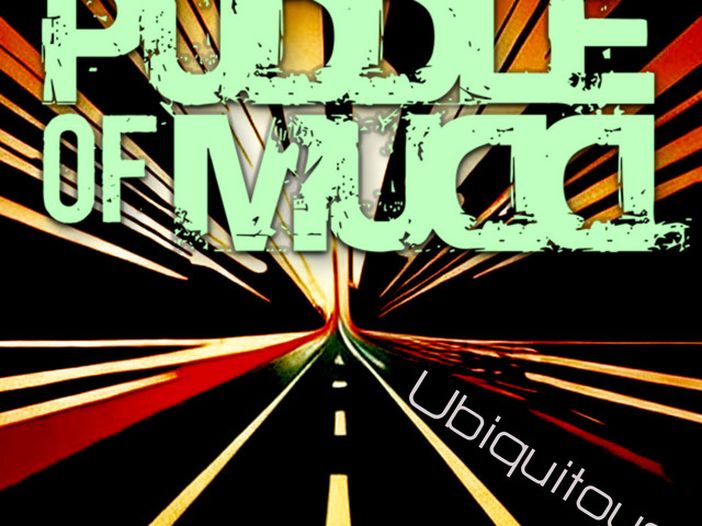 Puddle of Mudd: 20 giorni di prigione, 40mila dollari di multa e 3 anni di libert&agrave; vigilata a Wes Scantlin