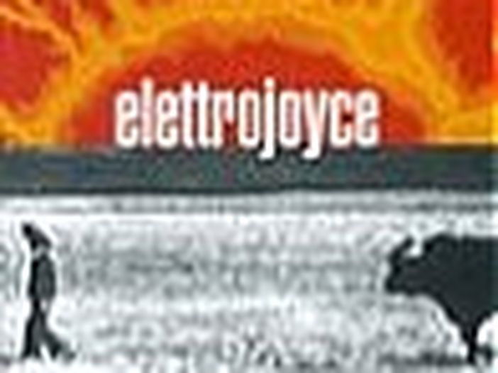 Gli Elettrojoyce al concertone del 1° maggio Gli Elettrojoyce al concertone del 1° maggio