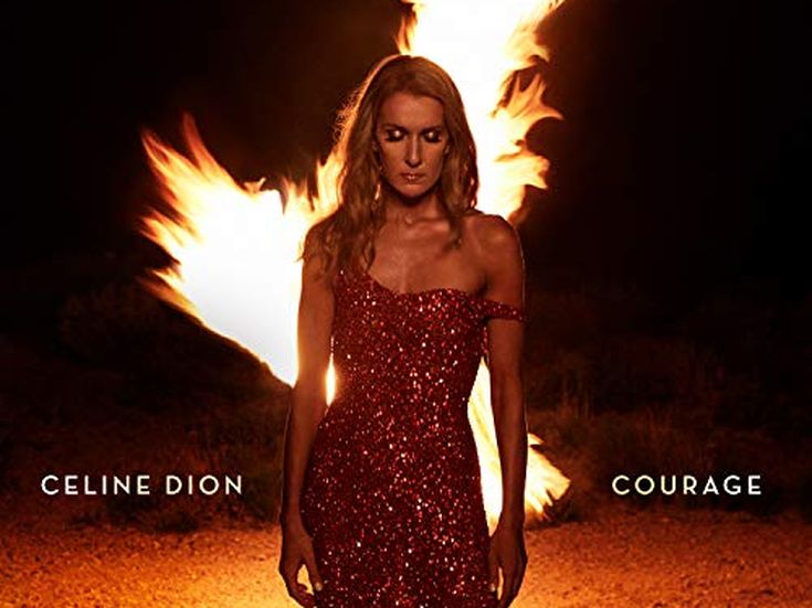 Celine Dion vince la sua battaglia 'telematica'