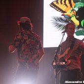4 settembre 2019 - Piazza della Loggia - Brescia - Pinguini Tattici Nucleari in concerto