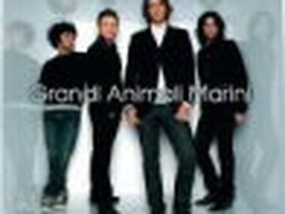 Grandi Animali Marini: esce ad ottobre il nuovo album 'Sulla cresta dell'ombra'