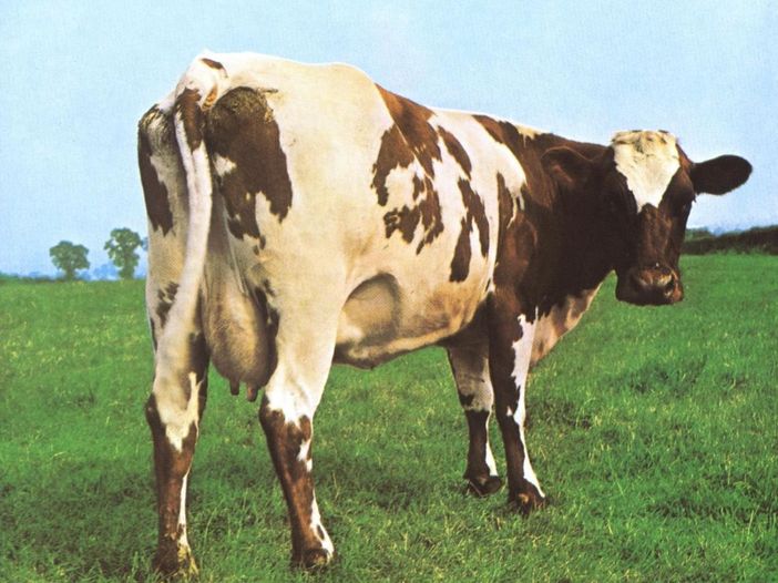 Pink Floyd, i 50 anni di “Atom Heart Mother”: una canzone al giorno. “Atom Heart Mother” – parte 1 Pink Floyd, i 50 anni di “Atom Heart Mother”: una canzone al giorno. “Atom Heart Mother” – parte 1