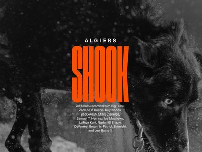 SHOOK Algiers