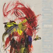 Stone Gossard - MOONLANDER