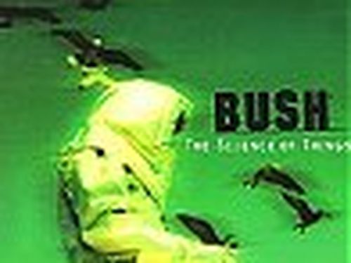 Il ritorno dei Bush (2): anche loro scelgono l'autogestione 