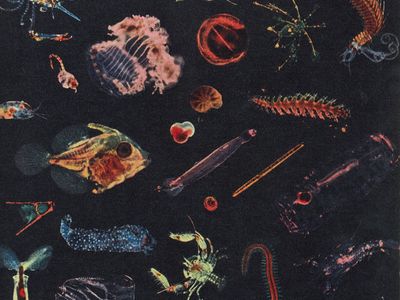 The Observer 2012: l'intervista ad Alessandro Fiori e a Herself