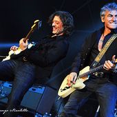 29 marzo 2014 - Palasport - Fossano (Cn) - Luciano Ligabue in concerto 29 marzo 2014 - Palasport - Fossano (Cn) - Luciano Ligabue in concerto