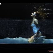 14 novembre 2025 - Mandela Forum - Firenze - Elodie in concerto 14 novembre 2025 - Mandela Forum - Firenze - Elodie in concerto