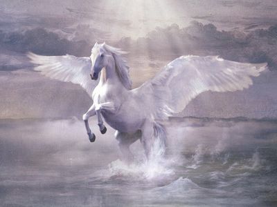 SULLE ALI DEL CAVALLO BIANCO Cosmo