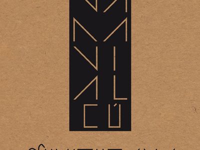 La carovana dei cantautori comaschi