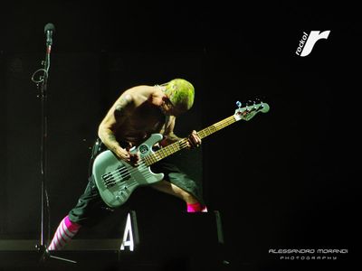 Flea