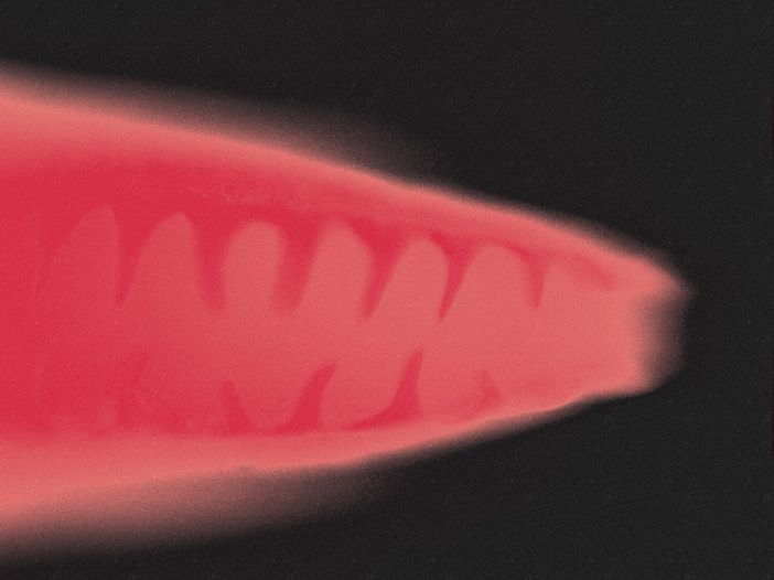 Bloc Party: in arrivo nuovo materiale, il frontman &egrave; ancora Kele