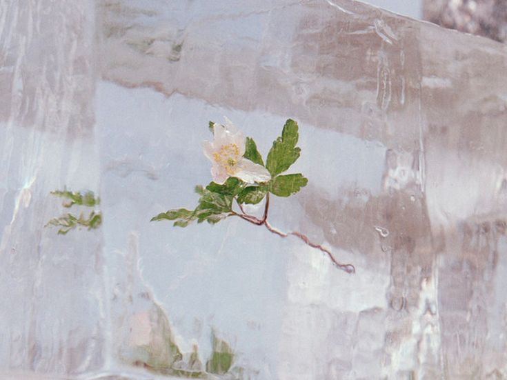 Efterklang, nuovo album dall'isola artica