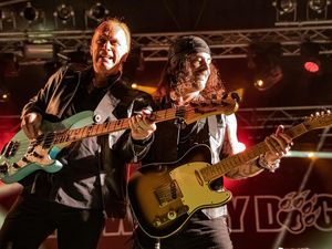 Winery Dogs