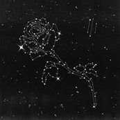 Liberato - LIBERATO III