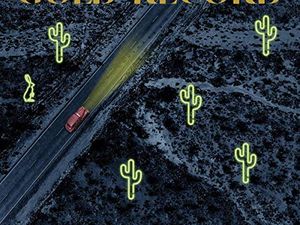 Arriva a settembre il nuovo album di Bill Callahan