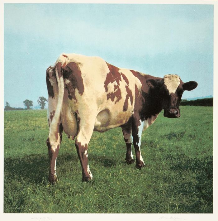 https://images.rockol.it/rWVRQsWPpYo80-3uCjT7DGHo9Yo=/700x0/smart/rockol-img/img/foto/upload/bolaffi-atom-heart.jpg