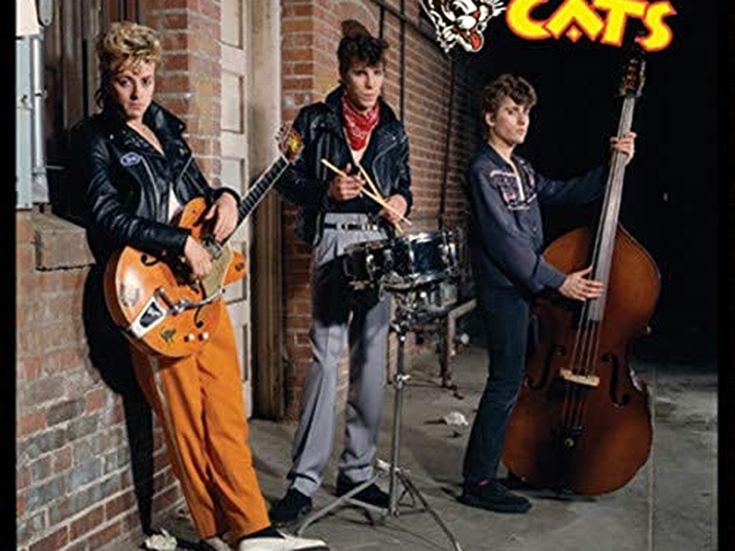 Stray Cats