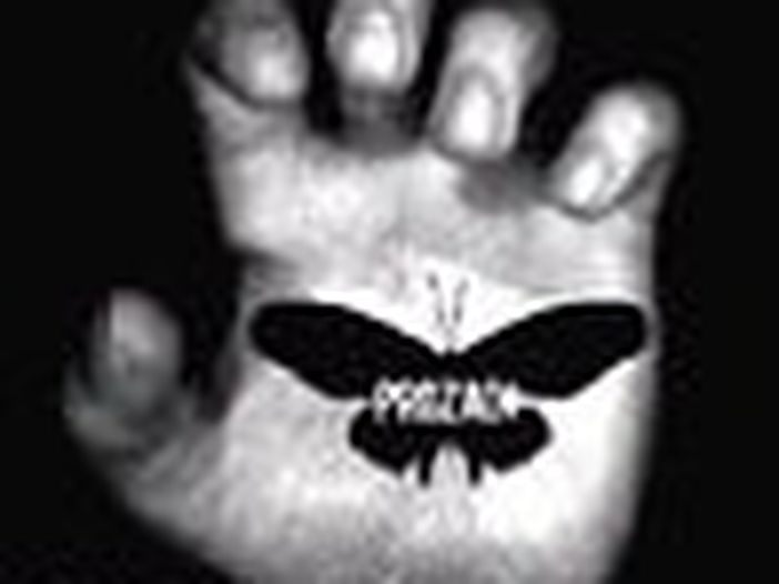 I Prozac+ annunciano una seconda data live, ma non si parli di reunion: &lsquo;&Egrave; un fatto sentimentale, &egrave; amore&rsquo;