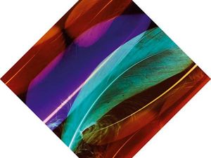 Wild Beasts, il nuovo album arriva a febbraio 