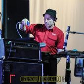 18 luglio 2017 - Flowers Festival - Parco della Certosa Reale - Collegno (To) - Einsturzende Neubauten in concerto