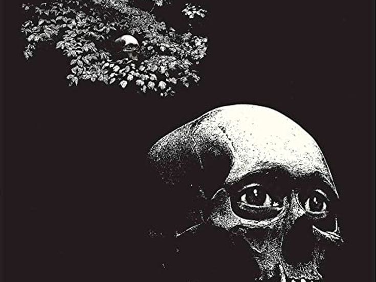 Concerti, Thee Oh Sees: cinque date in Italia a giugno