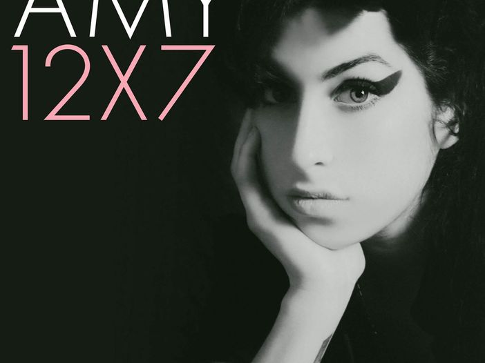 Amy Winehouse, venduto all&#039;asta l&#039;ultimo vestito indossato in concerto