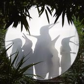 Penguin Caf&eacute; - RAIN BEFORE SEVEN