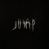 Junip - JUNIP