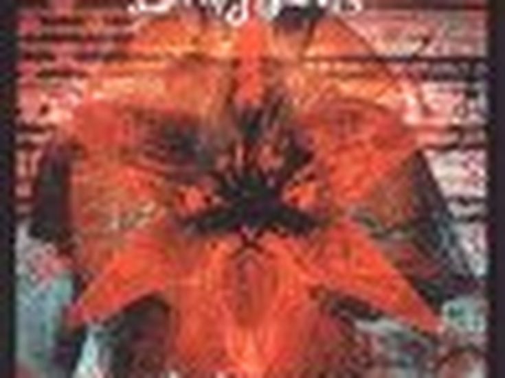 Concerti, Living Colour in Italia: 'Stiamo tornando alle nostre radici blues'