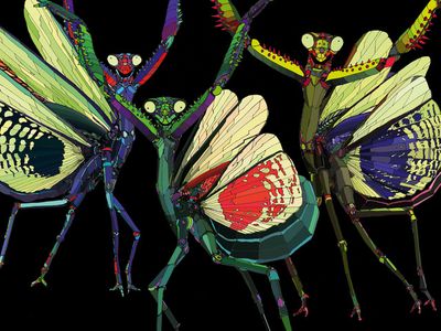 Concerti, Musical Zoo Festival: la parola agli organizzatori 