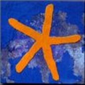 Fish - 13TH STAR