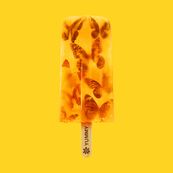 James - YUMMY